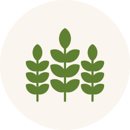 Home plant leaf